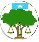 hawiye_logo