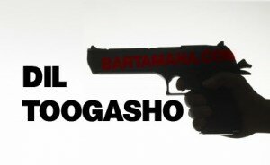 DILTOOGASHO