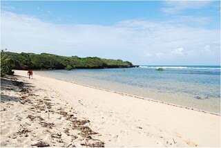 Funzi sandy nesting beach