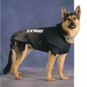 K9