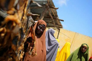 A Somali woman sells dried fish from a kiosk in a market area in the centre of the southern Somali port city of Kismayo in October 2012. Women are now learning skills such as net making so they can work in the male-dominated fishing industry